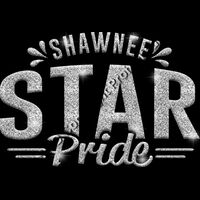 GLT62 SILVER GLITTER Thumbnail